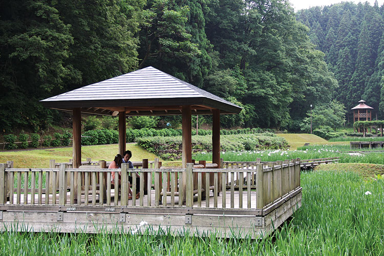 しらさぎ森林公園