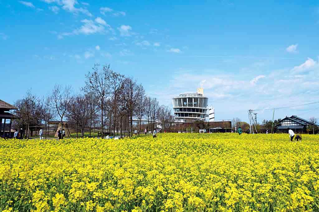 水の駅「ビュー福島潟」