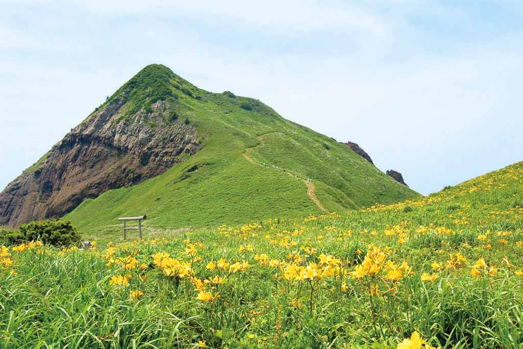 大野亀